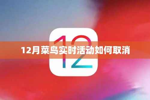 菜鸟实时活动取消指南