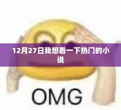 12月27日热门小说推荐,不容错过!