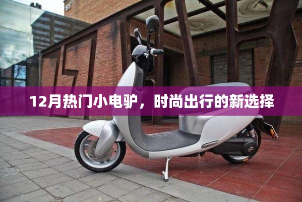 时尚出行新宠,热门小电驴亮相十二月