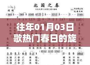 歌坛热门旋律,春日的旋律与情感回顾