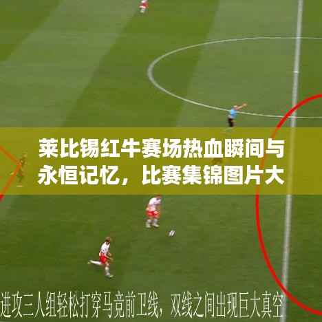 莱比锡红牛赛场热血瞬间与永恒记忆,比赛集锦图片大放送