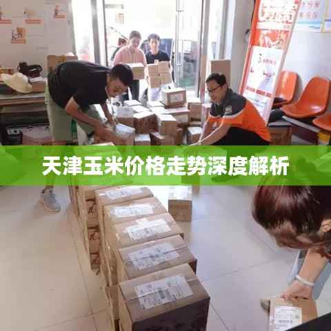 草草了事 第3页