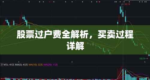 股票过户费全解析,买卖过程详解