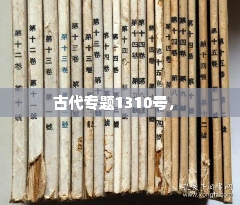 古代专题1310号,
