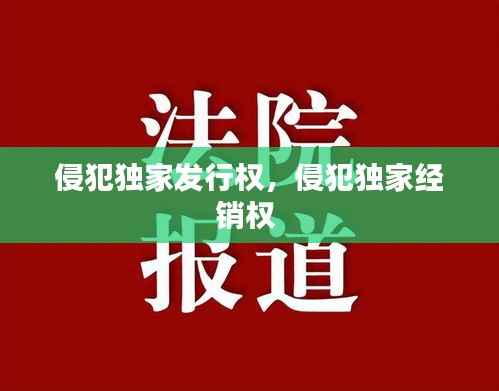 侵犯独家发行权,侵犯独家经销权