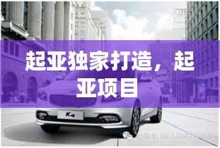 起亚独家打造,起亚项目