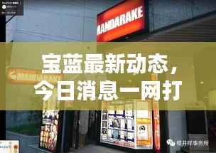 宝蓝最新动态,今日消息一网打尽