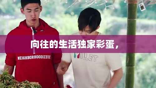 向往的生活独家彩蛋,