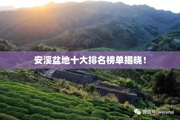 安溪盆地十大排名榜单揭晓!