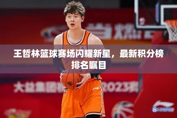 王哲林篮球赛场闪耀新星,最新积分榜排名瞩目