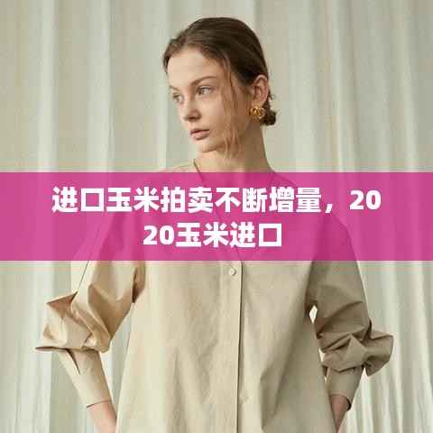 进口玉米拍卖不断增量,2020玉米进口