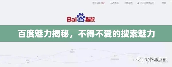 百度魅力揭秘,不得不爱的搜索魅力