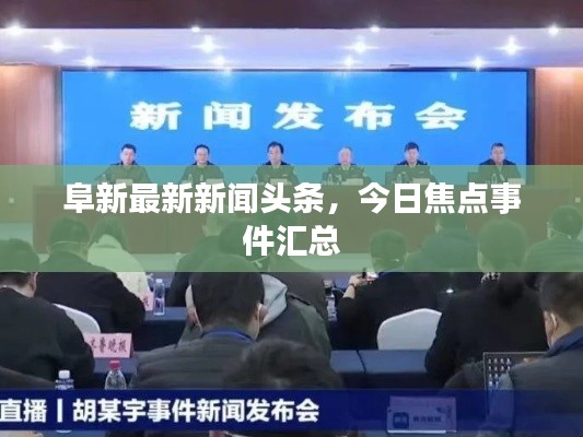 阜新最新新闻头条,今日焦点事件汇总