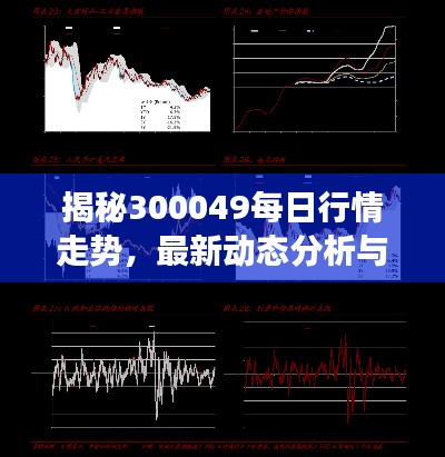 揭秘300049每日行情走势,最新动态分析与解读