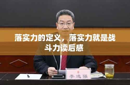 落实力的定义,落实力就是战斗力读后感