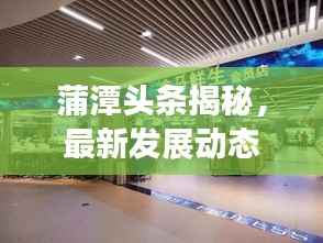 蒲潭头条揭秘,最新发展动态一网打尽!