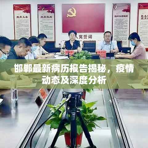 邯郸最新病历报告揭秘,疫情动态及深度分析