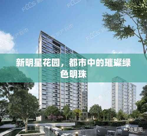 新明星花园,都市中的璀璨绿色明珠
