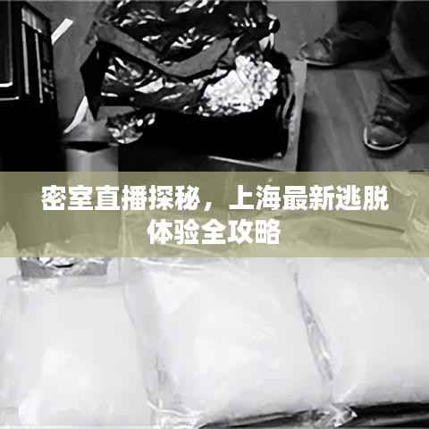 密室直播探秘，上海最新逃脱体验全攻略