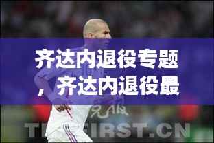 齐达内退役专题,齐达内退役最后一场比赛