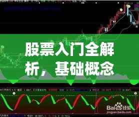 股票入门全解析,基础概念指南与学习方法探讨