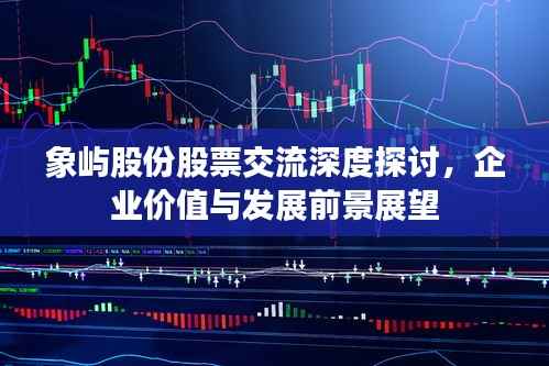 象屿股份股票交流深度探讨,企业价值与发展前景展望