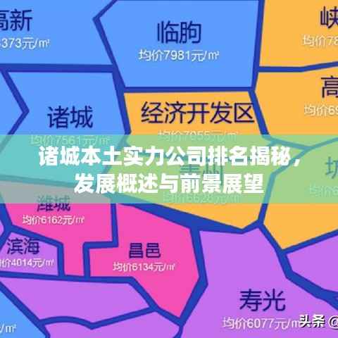 诸城本土实力公司排名揭秘,发展概述与前景展望