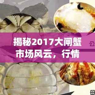 揭秘2017大闸蟹市场风云，行情走势深度解析