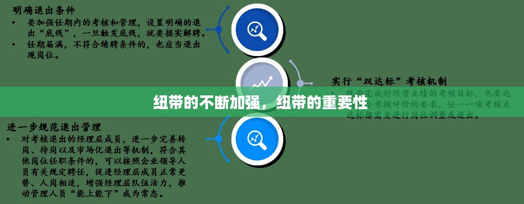 纽带的不断加强,纽带的重要性