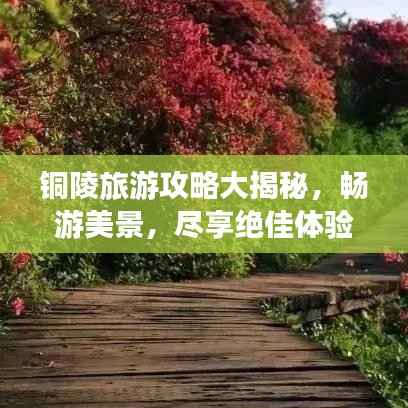 铜陵旅游攻略大揭秘,畅游美景,尽享绝佳体验!