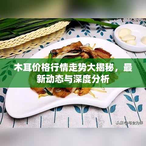 木耳价格行情走势大揭秘，最新动态与深度分析