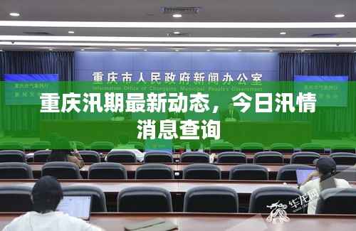 重庆汛期最新动态,今日汛情消息查询