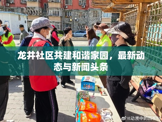 龙井社区共建和谐家园,最新动态与新闻头条