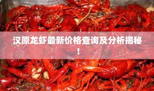 汉原龙虾最新价格查询及分析揭秘!