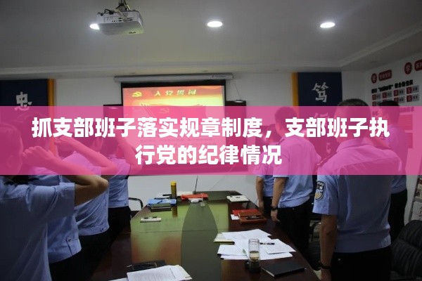 抓支部班子落实规章制度,支部班子执行党的纪律情况