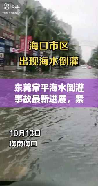 东莞常平海水倒灌事故最新进展,紧急应对与应对措施揭秘
