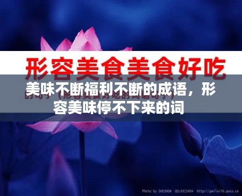 美味不断福利不断的成语,形容美味停不下来的词
