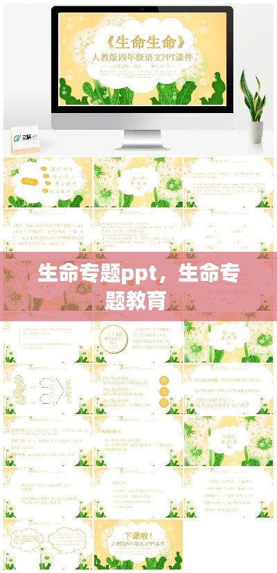 生命专题ppt,生命专题教育
