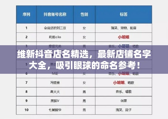 维新抖音店名精选,最新店铺名字大全,吸引眼球的命名参考!