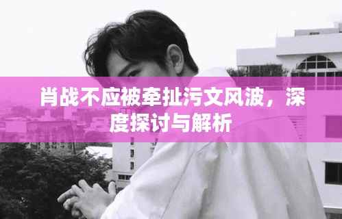 肖战不应被牵扯污文风波,深度探讨与解析