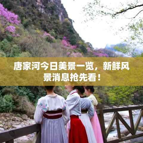 唐家河今日美景一览,新鲜风景消息抢先看!