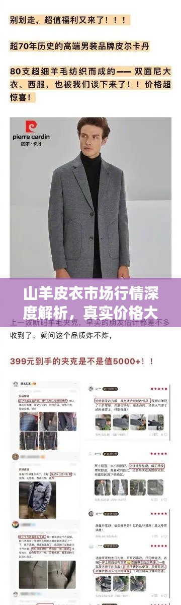 山羊皮衣市场行情深度解析,真实价格大揭秘!