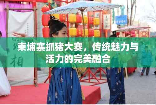 柬埔寨抓猪大赛,传统魅力与活力的完美融合