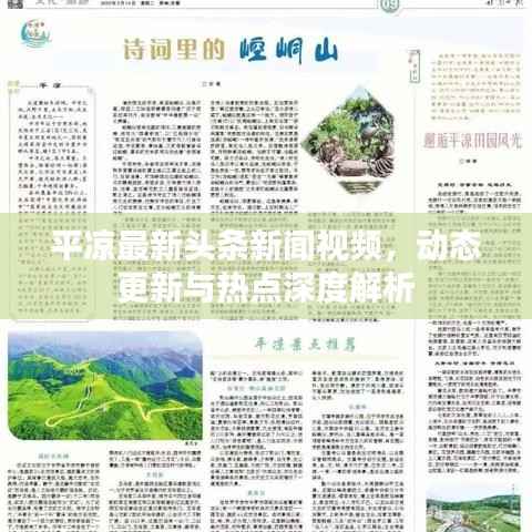 平凉最新头条新闻视频,动态更新与热点深度解析