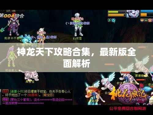 神龙天下攻略合集,最新版全面解析