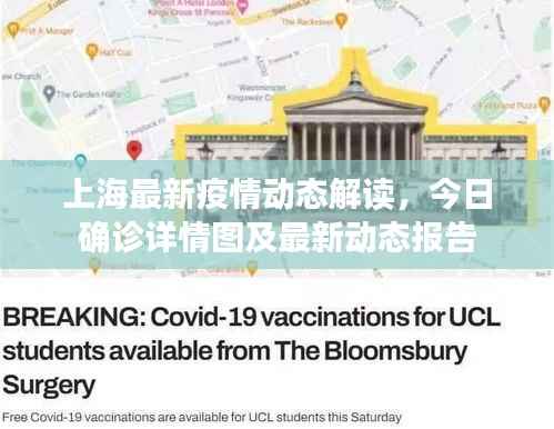 上海最新疫情动态解读,今日确诊详情图及最新动态报告